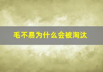 毛不易为什么会被淘汰