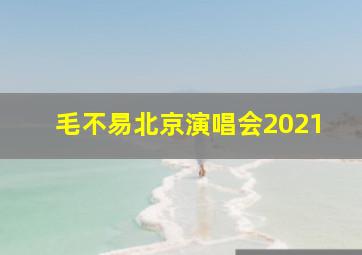 毛不易北京演唱会2021