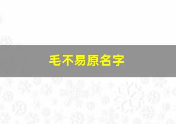 毛不易原名字