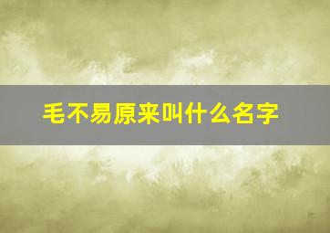 毛不易原来叫什么名字