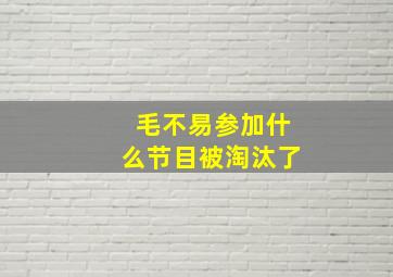 毛不易参加什么节目被淘汰了