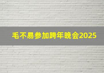 毛不易参加跨年晚会2025