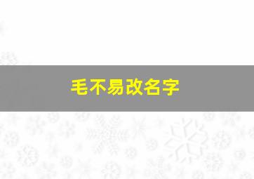 毛不易改名字