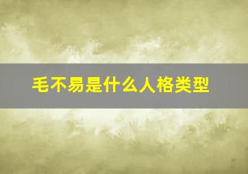 毛不易是什么人格类型