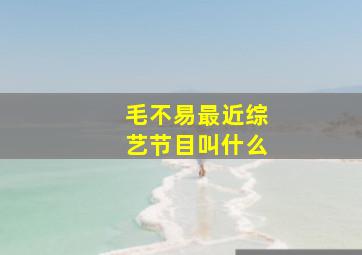 毛不易最近综艺节目叫什么