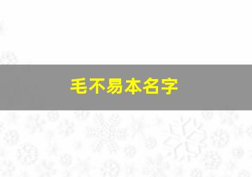 毛不易本名字