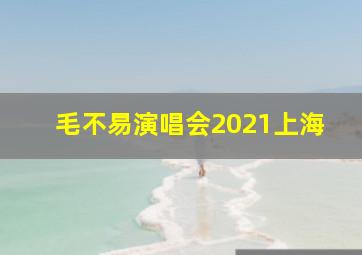 毛不易演唱会2021上海