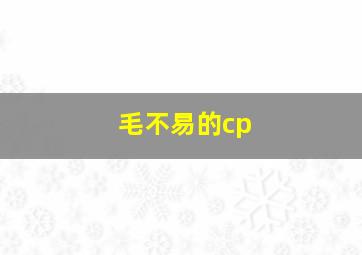 毛不易的cp