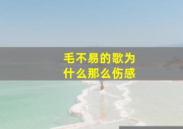 毛不易的歌为什么那么伤感