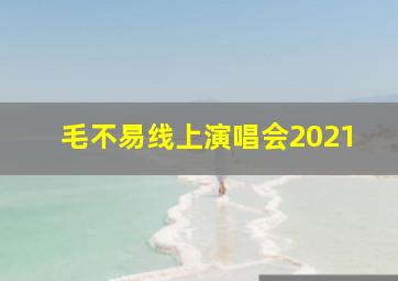 毛不易线上演唱会2021