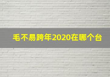 毛不易跨年2020在哪个台