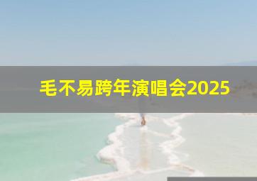 毛不易跨年演唱会2025