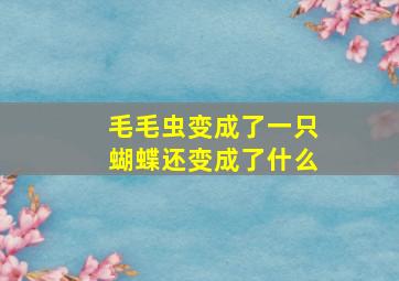 毛毛虫变成了一只蝴蝶还变成了什么