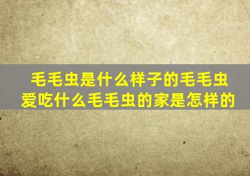 毛毛虫是什么样子的毛毛虫爱吃什么毛毛虫的家是怎样的