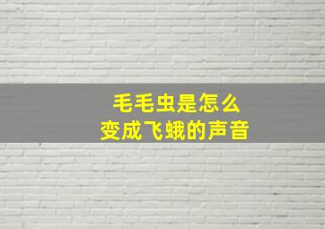 毛毛虫是怎么变成飞蛾的声音