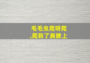 毛毛虫爬呀爬,爬到了肩膀上