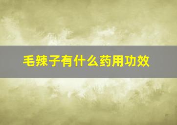 毛辣子有什么药用功效