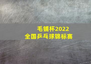 毛铺杯2022全国乒乓球锦标赛