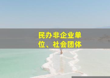 民办非企业单位、社会团体