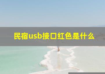 民宿usb接口红色是什么