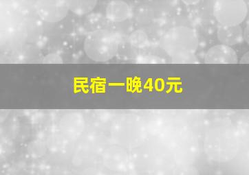 民宿一晚40元