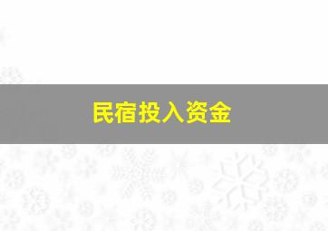 民宿投入资金