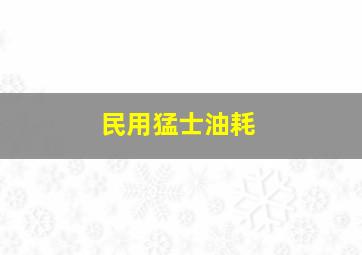 民用猛士油耗