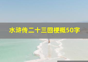 水浒传二十三回梗概50字