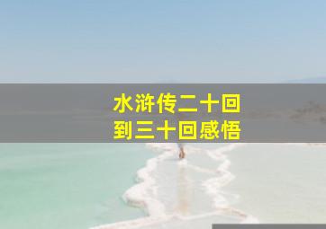 水浒传二十回到三十回感悟