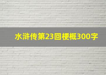 水浒传第23回梗概300字