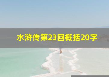 水浒传第23回概括20字