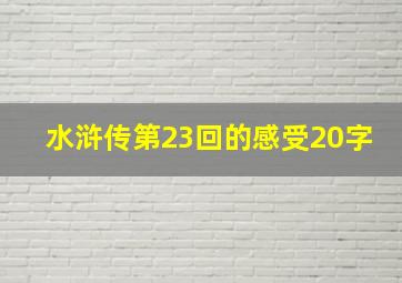 水浒传第23回的感受20字