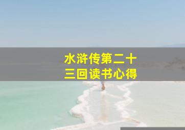 水浒传第二十三回读书心得