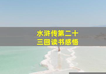 水浒传第二十三回读书感悟