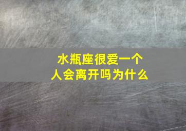 水瓶座很爱一个人会离开吗为什么