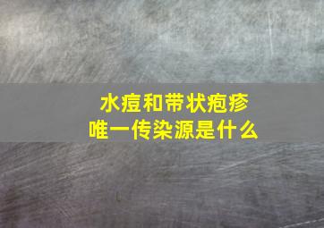 水痘和带状疱疹唯一传染源是什么