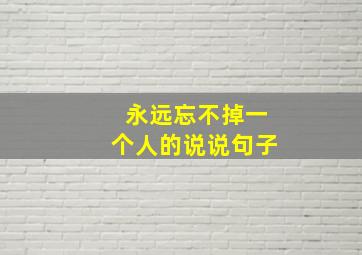 永远忘不掉一个人的说说句子