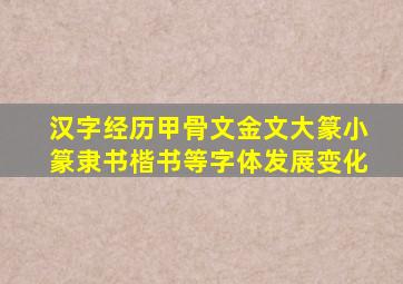 汉字经历甲骨文金文大篆小篆隶书楷书等字体发展变化