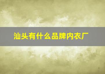 汕头有什么品牌内衣厂