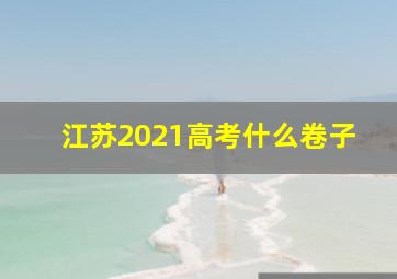 江苏2021高考什么卷子