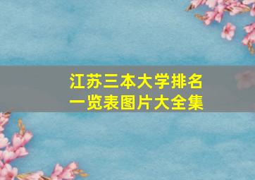 江苏三本大学排名一览表图片大全集