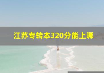 江苏专转本320分能上哪