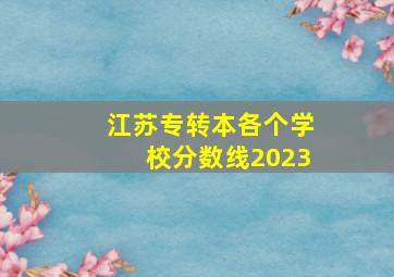 江苏专转本各个学校分数线2023