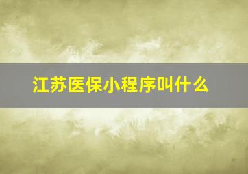 江苏医保小程序叫什么