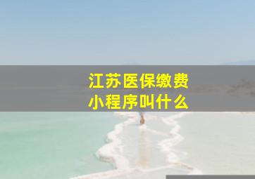 江苏医保缴费小程序叫什么