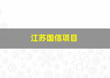 江苏国信项目