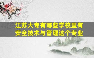 江苏大专有哪些学校里有安全技术与管理这个专业