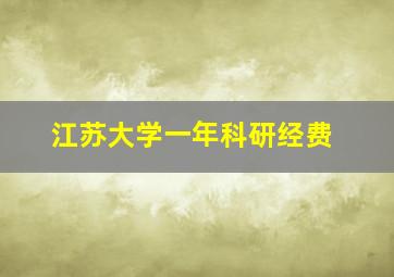 江苏大学一年科研经费