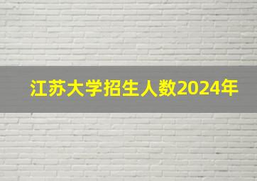 江苏大学招生人数2024年