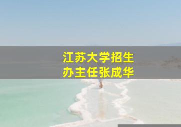 江苏大学招生办主任张成华